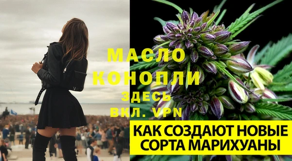 первитин Балахна