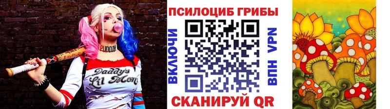 Галлюциногенные грибы Cubensis  мега ONION  Власиха 